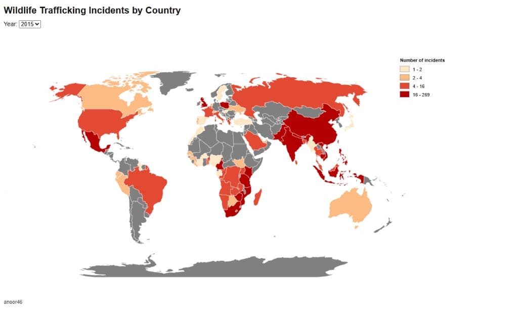 Network Graph preview